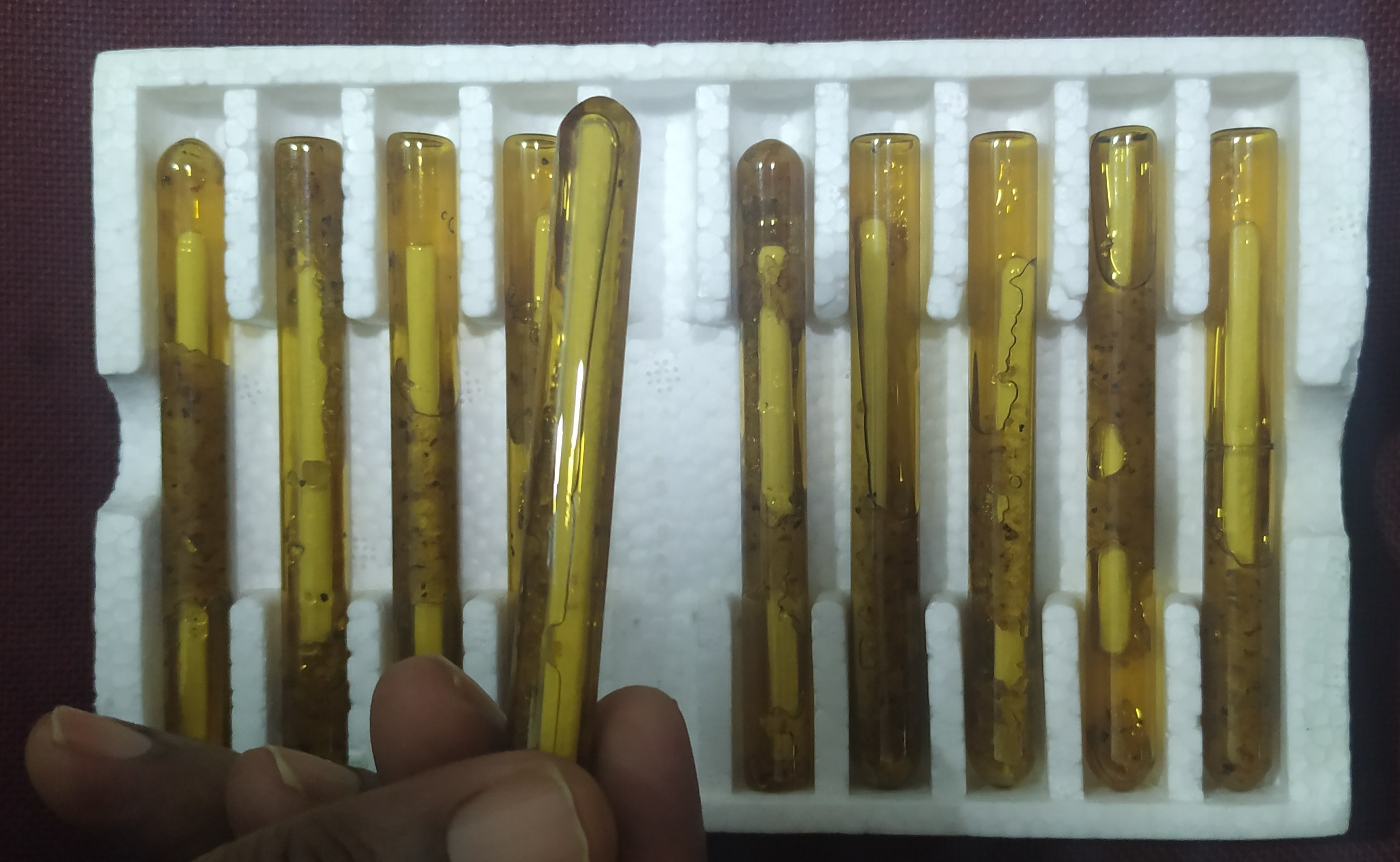 Resin capsule in India - Affordable & quick installation